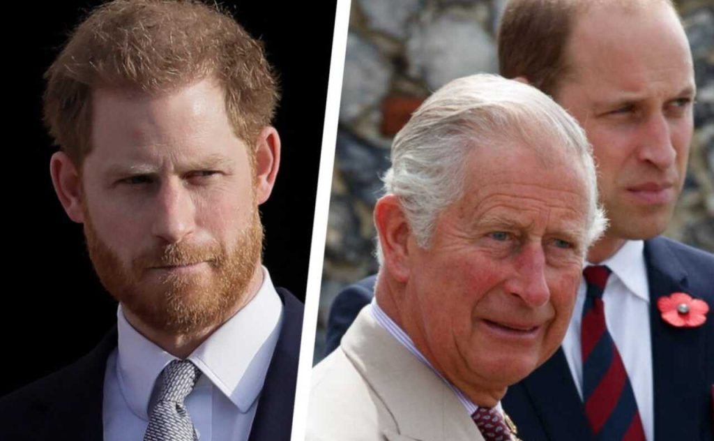 Prince Harry wants to meet with King Charles III and Prince William 31