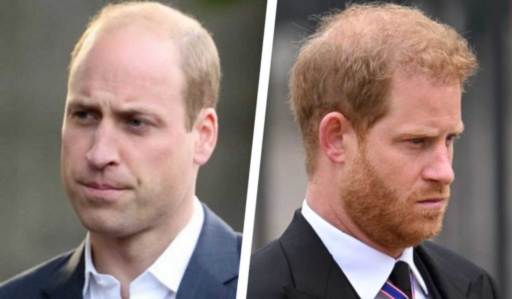 Princess Diana's former butler says he may be able to reconcile Princes Harry and William 1