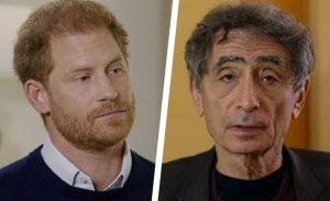 Prince Harry diagnosed with attention deficit disorder by 'toxic trauma' expert Dr. Gabor Mate 7