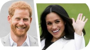 Prince Harry and Meghan Markle use private jet after attending an event dedicated to climate change 17
