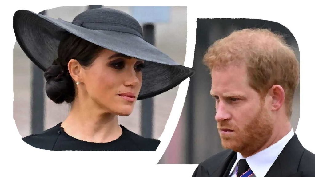 Prince Harry and Meghan Markle have launched a new website using their royal titles and coat of arms 1