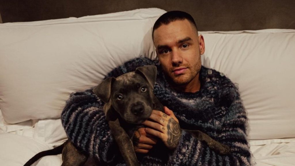 A verbatim transcript of the 911 call before Liam Payne's death has surfaced 1