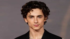 Timothée Chalamet revealed that early in his career, he often faced rejection for roles 1