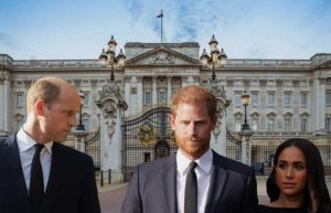 The price of words: Prince Harry and his children may lose their titles